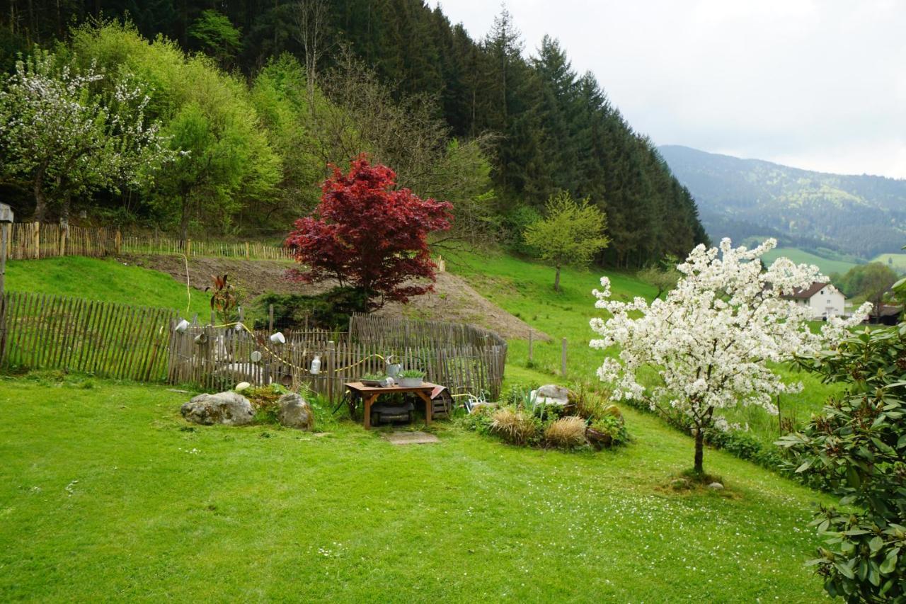 Hoellkopf - Stubenhof, Black Forest Simonswald Luaran gambar